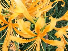 -白塘生态植物园