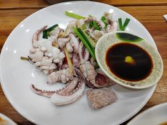 白灼鲜鱿鱼-潮粥馆(长江花园店)