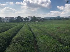 -敬亭山风景名胜区