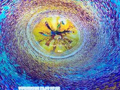 -海合安天津极地海洋公园