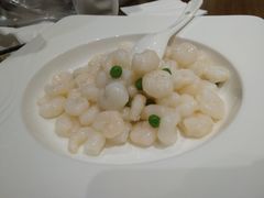 -乔家栅(襄阳南路店)