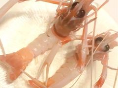 -斯普汇生蚝牛排馆(中骏世界城店)