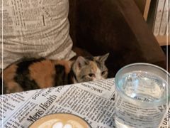 -隅cafe(傅厚岗店)