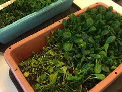 -金陵之星大酒店·中餐厅