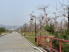-芒洲湿地公园