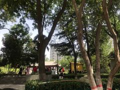 -莲湖公园