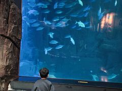 -成都浩海立方海洋公园