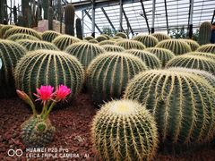 -南通洲际绿博园