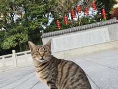 -广州市帽峰山景区