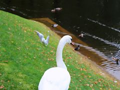 -滴血救世主教堂