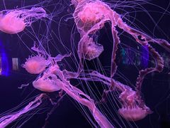 -成都浩海立方海洋公园