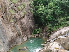 -广州白江湖森林公园