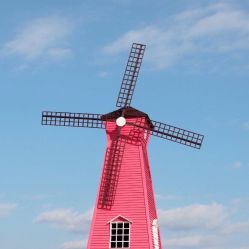 -薇兰专业脱毛连锁机构