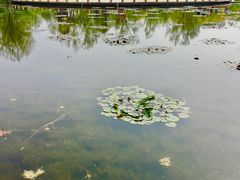 -绿堤公园