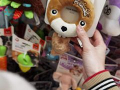 -北京观赏动物医院·24小时大型综合·猫专科·异宠专科