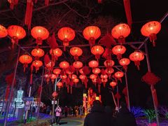 -青龙湖公园