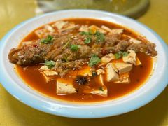 -煲来饱去冷水鱼