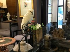 大堂-大唐名家·息壤店