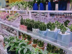 -KKV(东莞海德汇一城店)