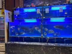 -姜君·千岛湖鱼头馆(浦东大道店)