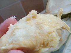 -三江购物(锦诚店)