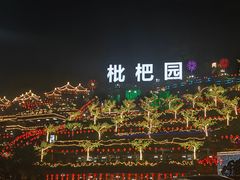 -枇杷园食为鲜火锅(南山店)
