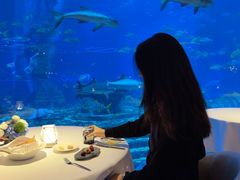 -OSSIANO奥西亚诺海底餐厅