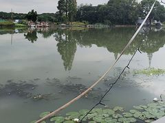 -水岸居湖景农家乐·阳澄湖大闸蟹
