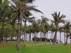 -味餐厅·海鲜·火锅·自助餐