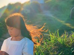 -枸杞岛