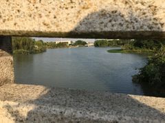 -九里河湿地公园