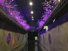 -芜湖方特东方神画