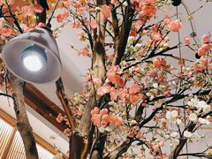 -蜜桃餐厅·伴山(湖滨商业街店)