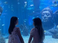-暹罗海洋世界