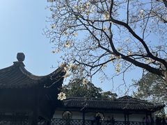 -何园