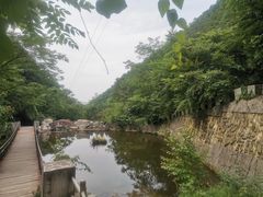 -沣峪森林公园龙潭戏水景区