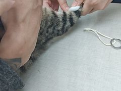 -拜鲁耶动物诊疗中心·宠家动物医院