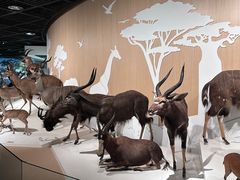 -陕西自然博物馆