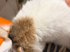 -平行世界·猫咖(首经贸店)