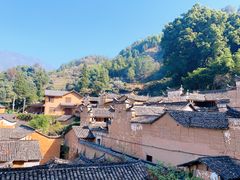 -杨家堂村
