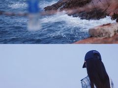 -东极岛景区