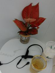 -苑苑vbeauty科技美容SPA