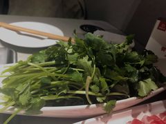 香菜-海底捞火锅(武胜路凯德广场店)
