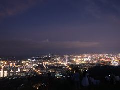 -长虫山生态公园风景林