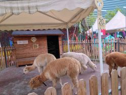 -萌宠亲子动物乐园(槐房万达店)