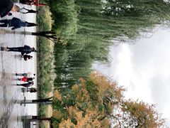 -江心岛