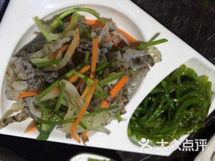 三丝鱼皮海藻