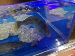 -盒马鲜生(枣园路店)