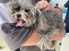 -萌兽医馆·宠物医院·猫骨科(创景店)