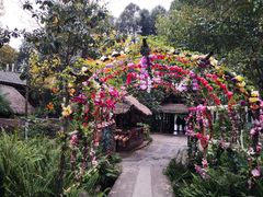 -云南民族村